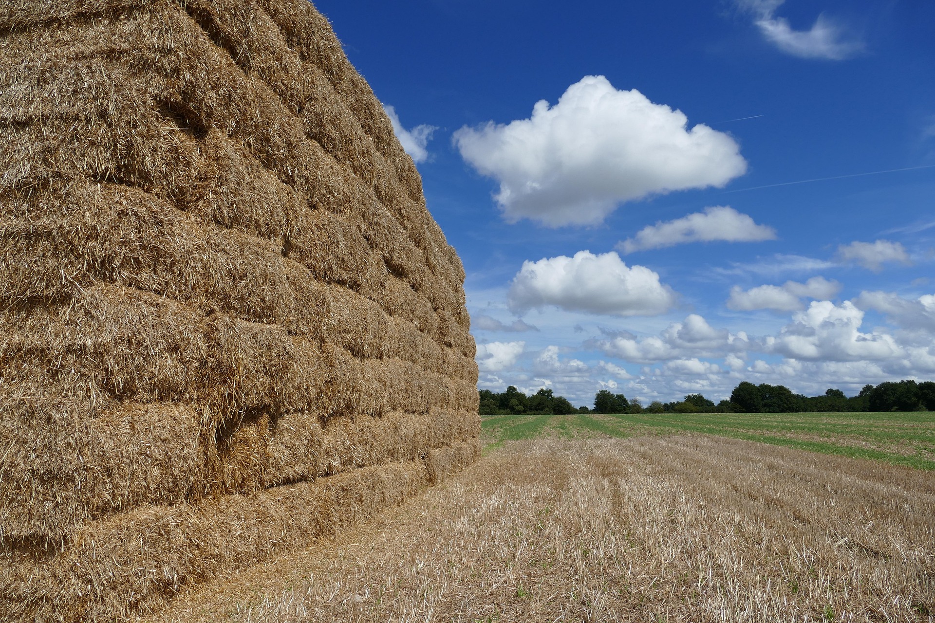 Harvested hay bales across open farmland landscape